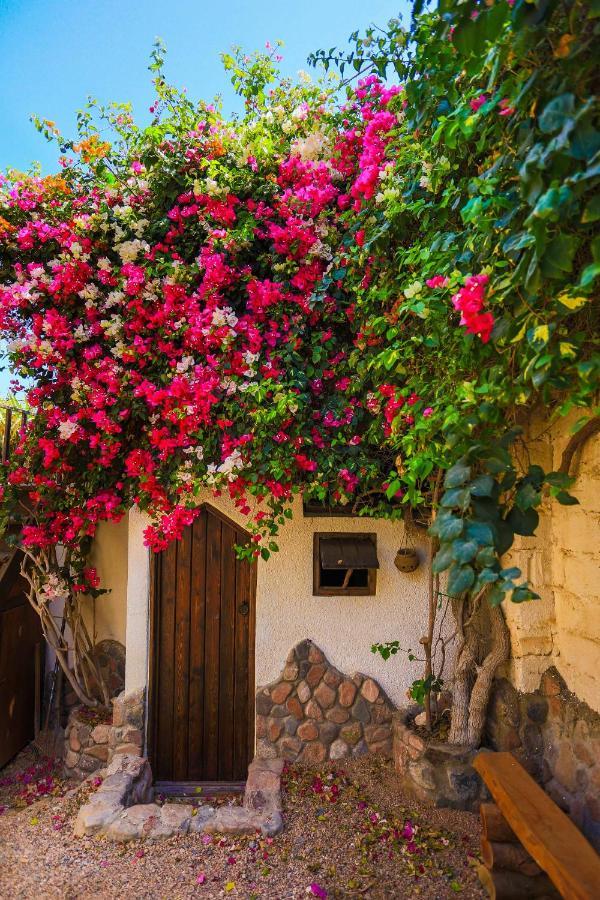Beit Theresa Dahab Exterior photo